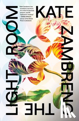 Zambreno, Kate - The Light Room