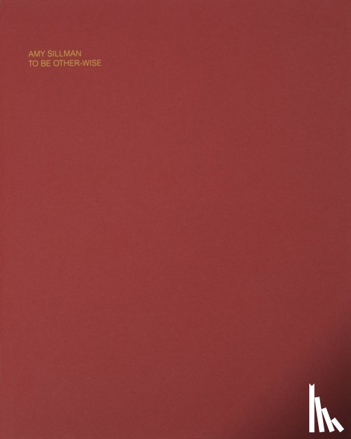  - Amy Sillman: To Be Other-Wise