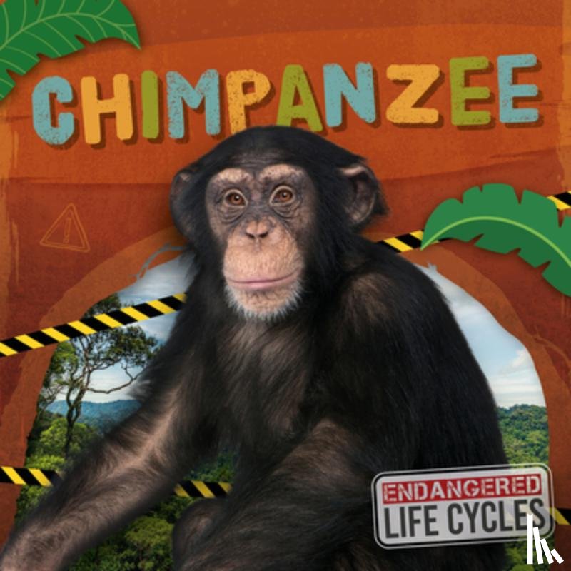Andrews, E.C. - Chimpanzee