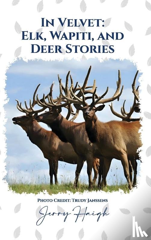 Haigh, Jerry - In Velvet