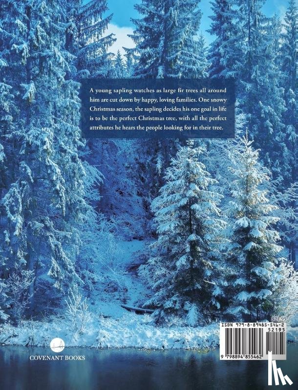 Ritter May, Barbara - Ritter May, B: Perfect Christmas Tree