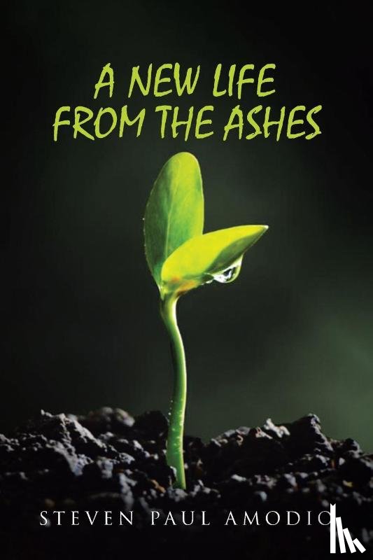 Amodio, Steven Paul - A New Life From The Ashes