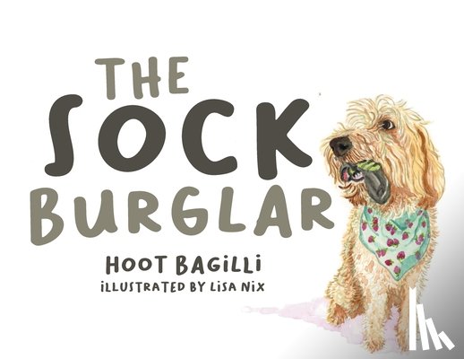 Illustrated Lisa Nix, Hoot Bagilli - The Sock Burglar