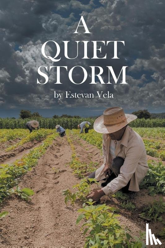 Vela, Estevan - A Quiet Storm