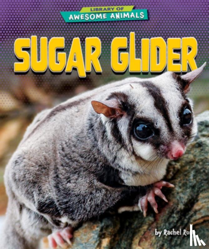 Rose, Rachel - Sugar Glider