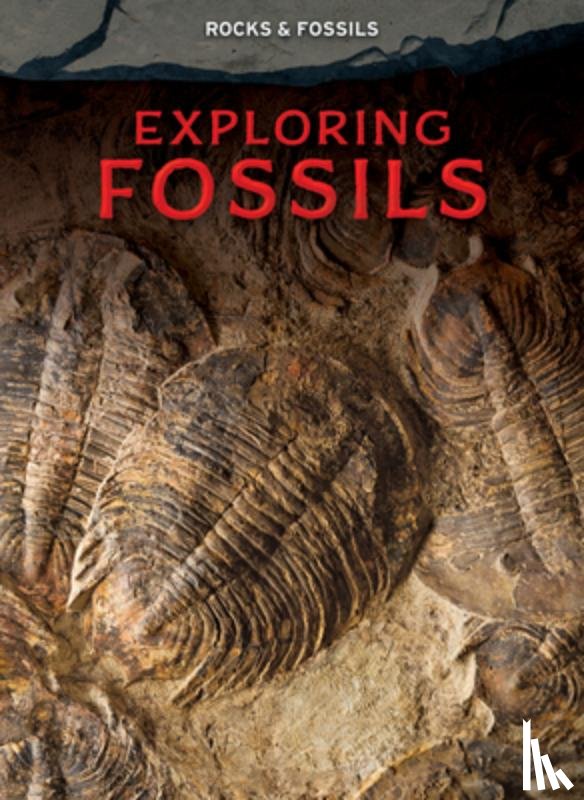 Martin, Claudia - Exploring Fossils