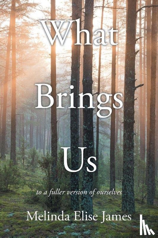 James, Melinda Elise - What Brings Us