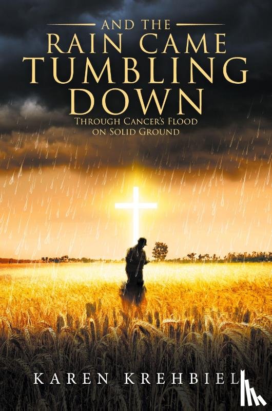Karen Krehbiel - And The Rain Came Tumbling Down