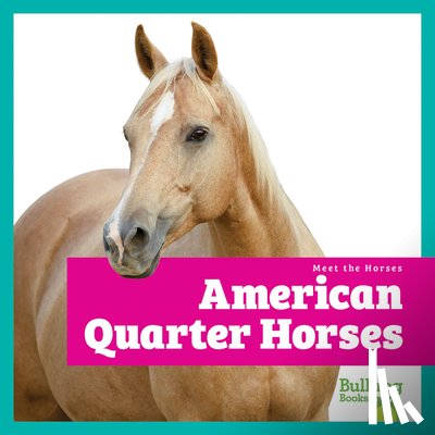 Grack, Rachel - American Quarter Horses