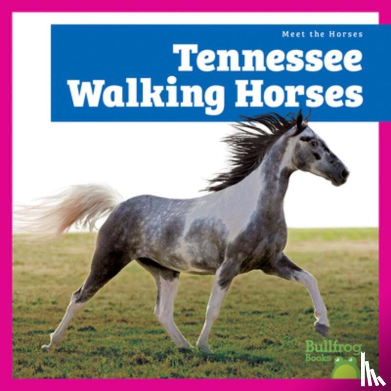 Grack, Rachel - Tennessee Walking Horses
