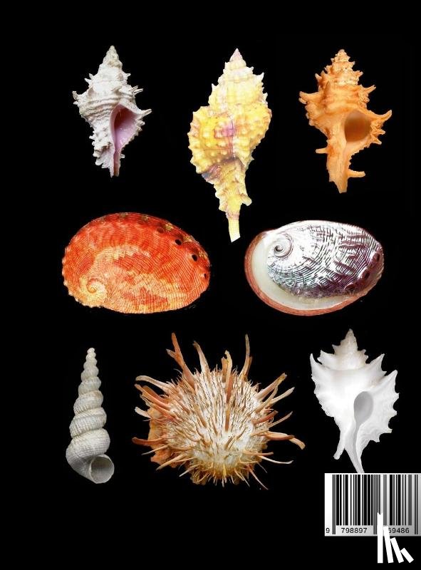 García, Emilio F. - Catalogue of selected seashells from the Emilio F. García collection. And other stories.