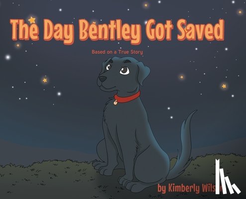 Wilson, Kimberly - The Day Bentley Got Saved
