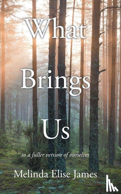 James, Melinda Elise - What Brings Us