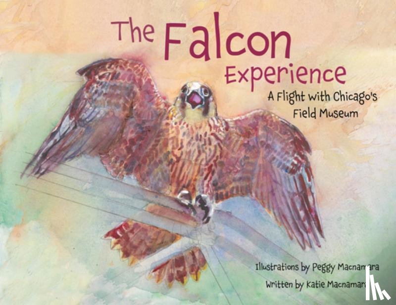 Macnamara, Katie, Macnamara, Peggy - The Falcon Experience