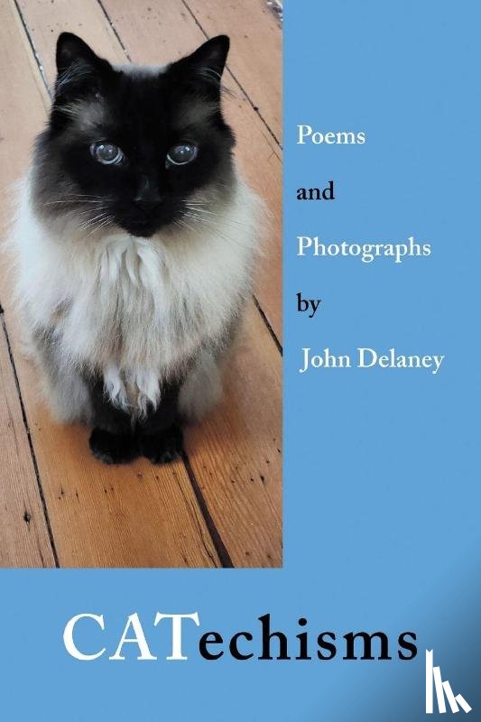 Delaney, John - Delaney, J: CATechisms