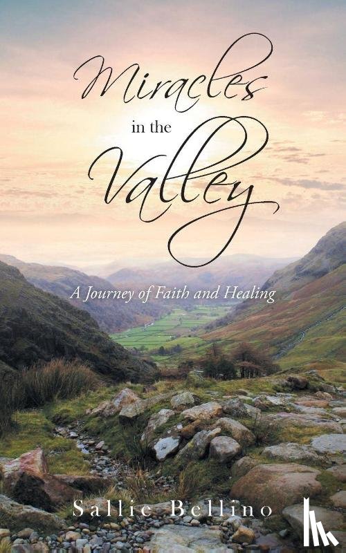 Bellino, Sallie - Miracles in the Valley