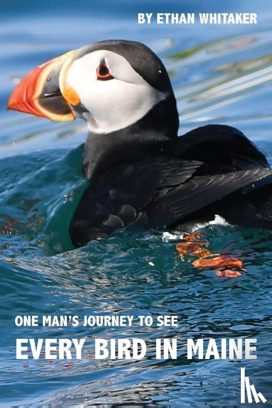 Whitaker, Ethan J - Every Bird in Maine