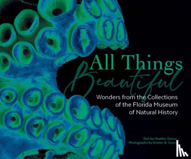 Florida Museum of Natural History - All Things Beautiful