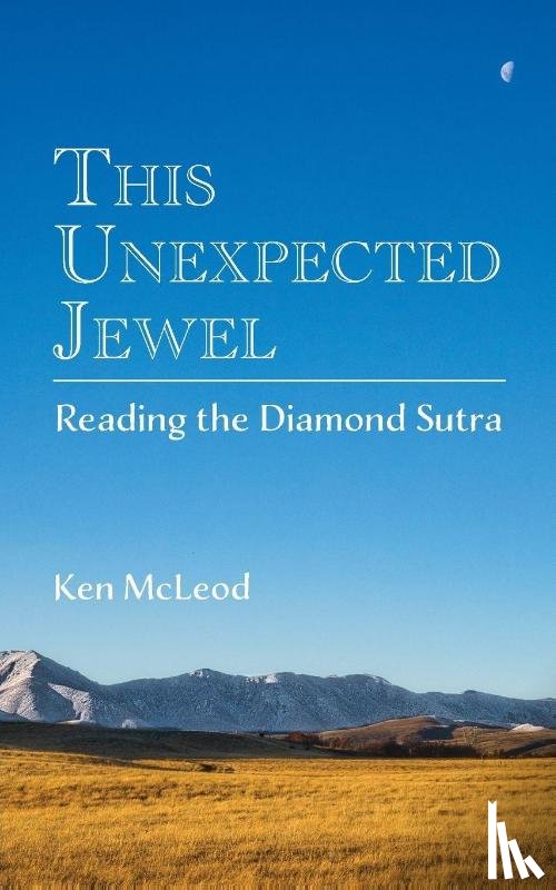 McLeod, Ken - This Unexpected Jewel