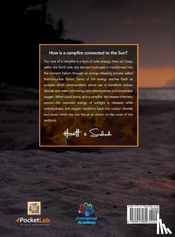 Hewitt, Paul G., Suchocki, John A. - Conceptual Academy Physics and Chemistry Integrated