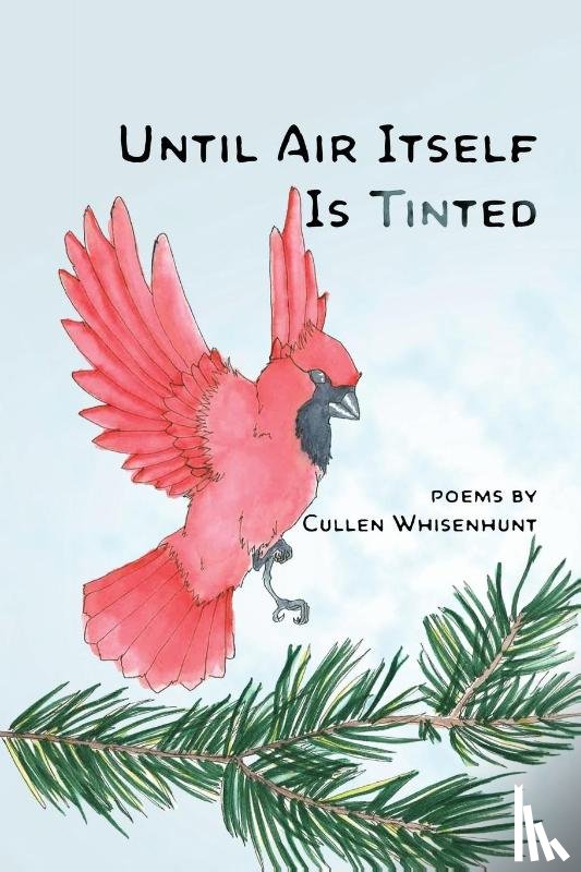 Whisenhunt, Cullen - Until Air Itself Is Tinted