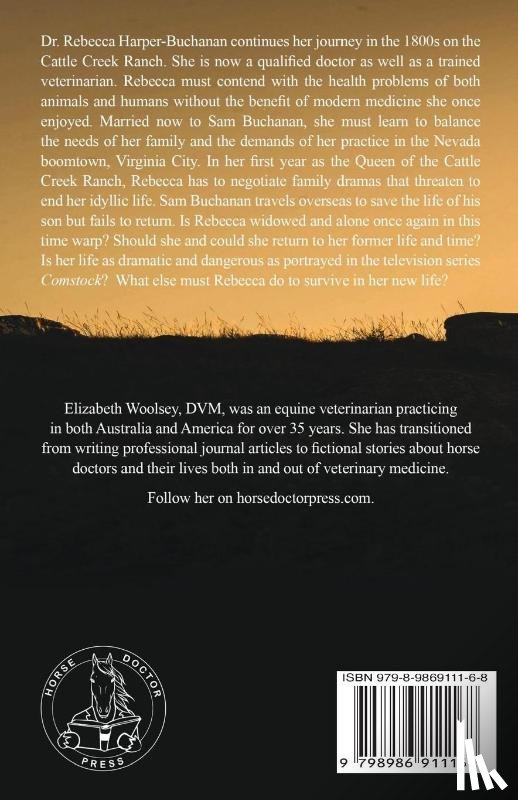 Woolsey, Elizabeth - The Travels of Dr. Rebecca Harper Troubled Waters