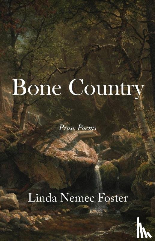 Foster, Linda Nemec - Bone Country