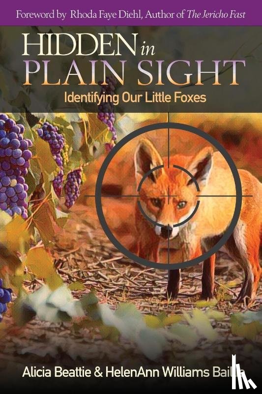 Beattie, Alicia, Williams Baillie, Helenann - Hidden in Plain Sight