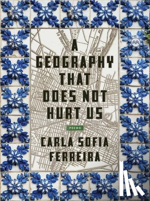 Ferreira, Carla Sofia - A Geography That Does Not Hurt Us