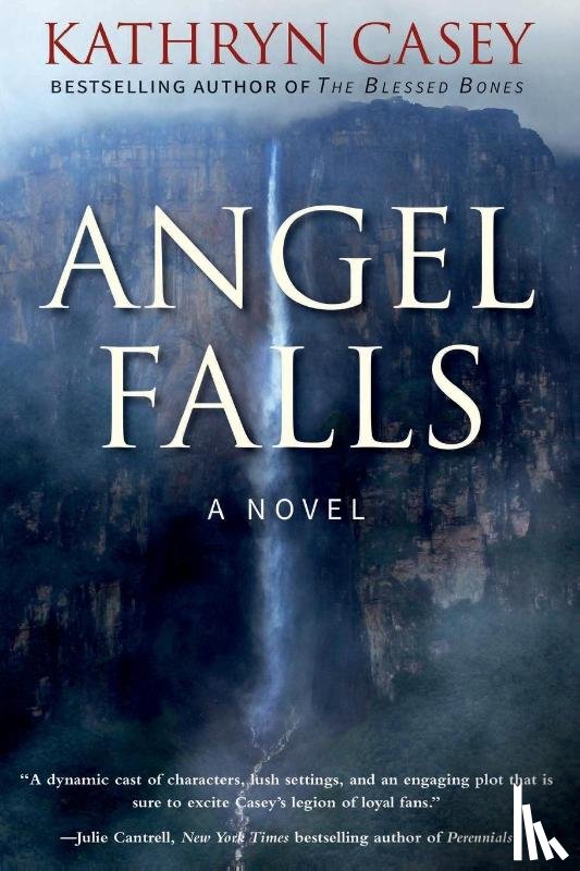 Casey, Kathryn - Angel Falls