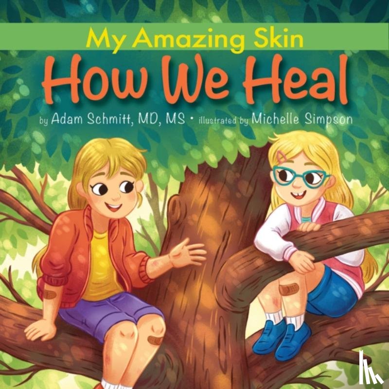 Schmitt, Adam - How We Heal