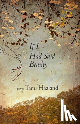 Haaland, Tami - If I Had Said Beauty