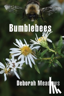 Meadows, Deborah - Bumblebees