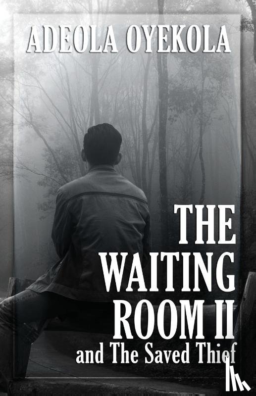 Oyekola, Adeola - The Waiting Room II