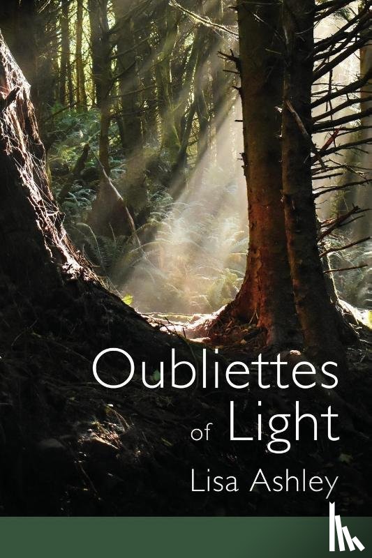 Ashley, Lisa - Oubliettes of Light