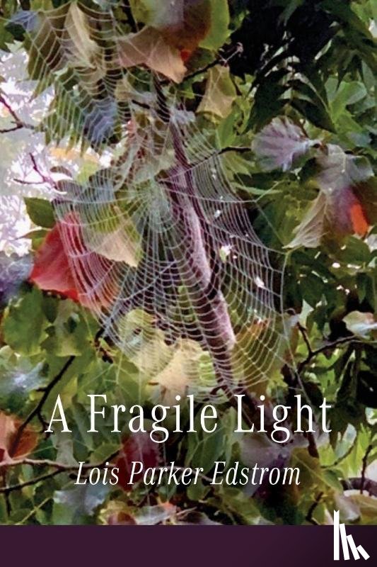 Edstrom, Lois Parker - A Fragile Light
