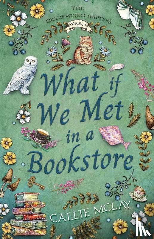 McLay, Callie - What If We Met In A Bookstore