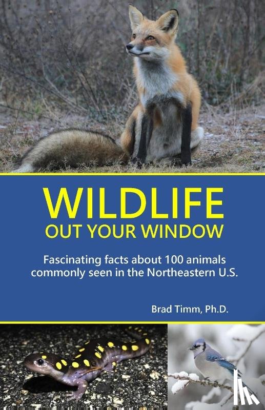 Timm, Brad - Wildlife Out Your Window