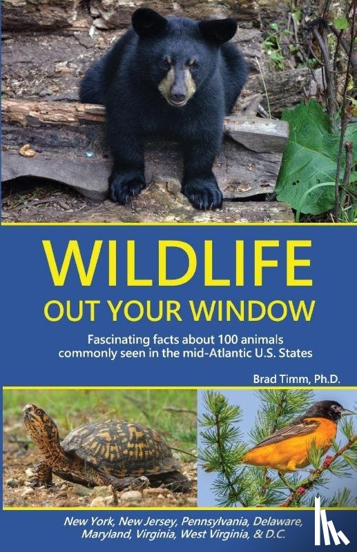 Timm, Brad - Wildlife Out Your Window