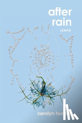Hunter, Carolyn - After Rain