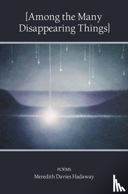 Hadaway, Meredith Davies - [Among the Many Disappearing Things]