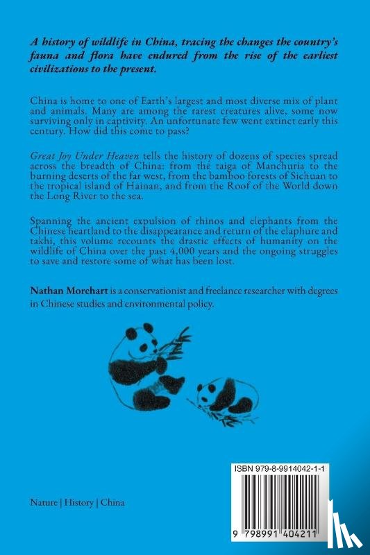 Morehart, Nathan - Great Joy Under Heaven