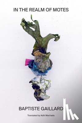 Gaillard, Baptiste - In the Realm of Motes