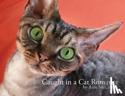 McCready, Airie - Caught in a Cat Romance