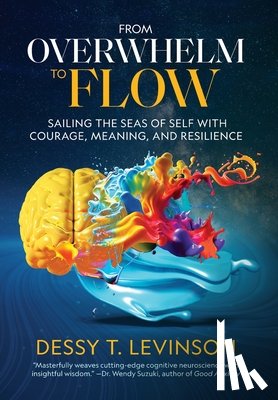 Levinson, Dessy T. - From Overwhelm to Flow: Sailing the Seas of Self with Courage, Meaning, and Resilience