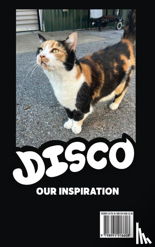 Anding, Randy, Newlin, Nathaniel - Meet Disco & Friends