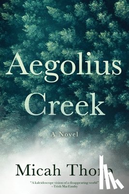 Thorp, Micah - Aegolius Creek
