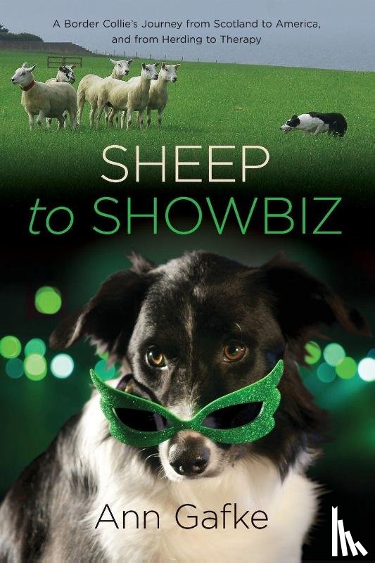 Gafke, Ann - Sheep to Showbiz