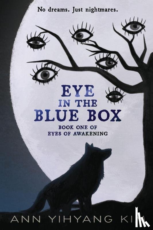 Kim, Ann Yihyang - Eye in the Blue Box