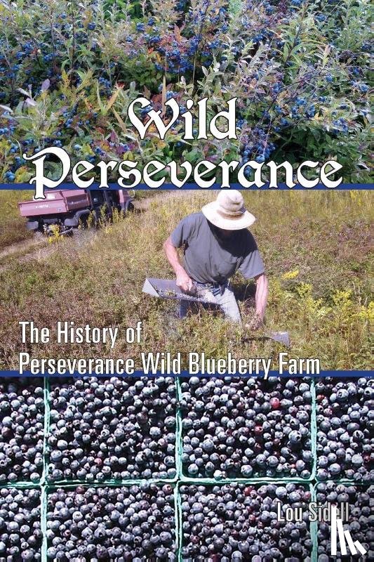 Sidell, Lou - Wild Perseverance